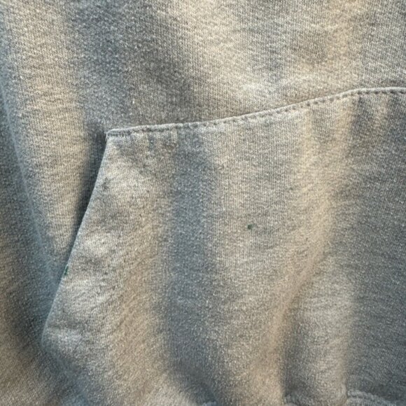 Junk Food Clothing Gray Hoodie size large - Picture 3 of 9